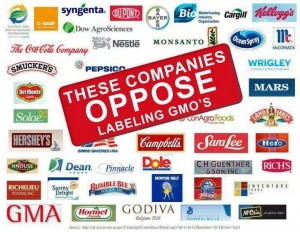 Monsanto'ya  Karşı 2015 Yürüyüşünde Geri Sayım Başladı