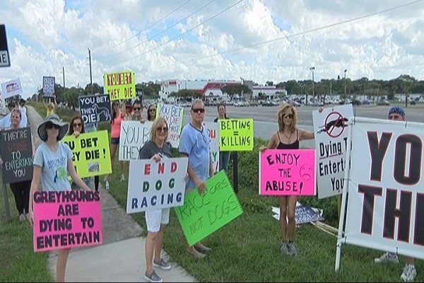 Florida'da tazı protestosu