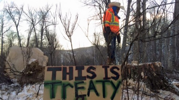 8 İlk Ulus Anlaşma’sından Jack Askoty Site C şantiyesi için kesilen kadim ağaçlardan birinin kökü üzerinde duruyor. (Yvonne Tupper / Facebook)