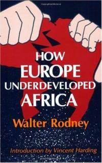 Walter Rodney'in  “Avrupa Nasıl  Afrika’nın Azgelişmişlik Sürecine Katkı Sağladı” Değerlendirmesi (1)