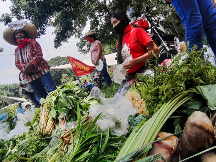 Filipinler: Toprağı Savunmak, Agroekolojik Halkın Gıda Rejimini İnşa Etmek