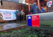 Şili: Mapuçe Politik Tutsaklar Açlık Grevini Ölüm Orucuna Çeviriyor